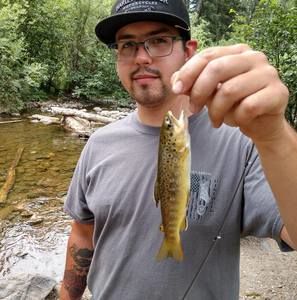 Meet your Posher, James